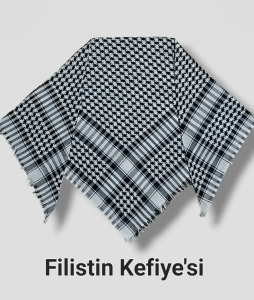 Filistin Keyfiyesi
