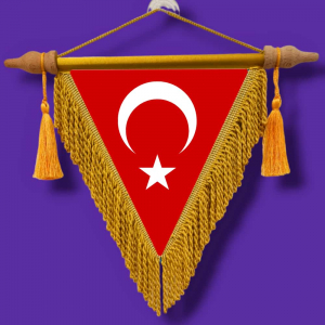 Türk Bayrağı 20x20cm Flama 